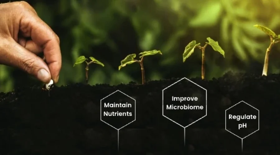 How Biochar Generates Carbon Credits