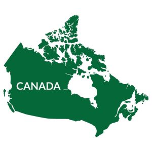 Canada’s Biochar Sector: Current Status, Policy Landscape, and Market Potential
