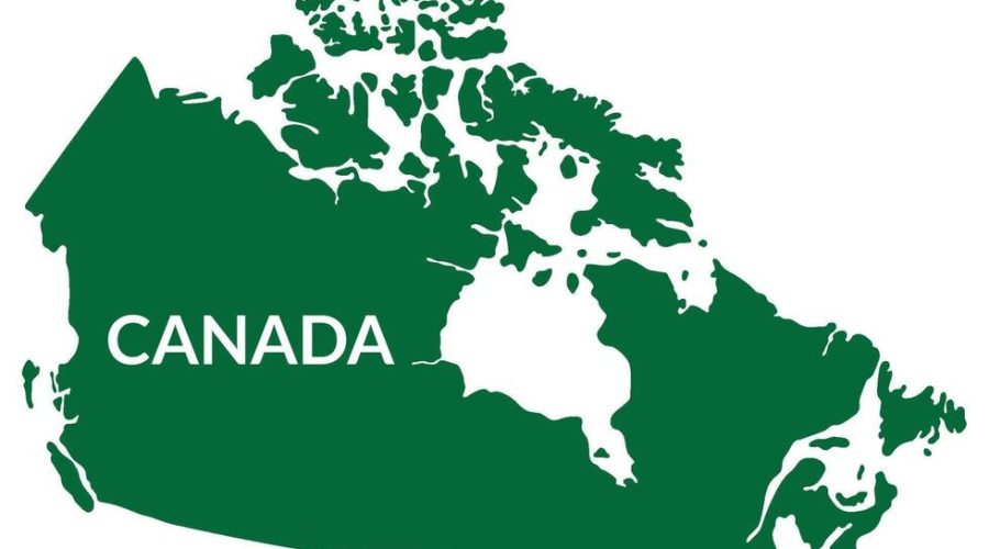 Canada’s Biochar Sector: Current Status, Policy Landscape, and Market Potential