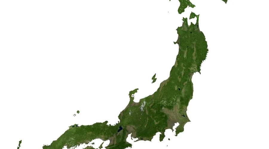 Japan Biochar Market: Advanced Knowledge Base with Emerging Industrial Scale Potential