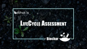 Life Cycle Assessment (LCA) of Biochar Systems