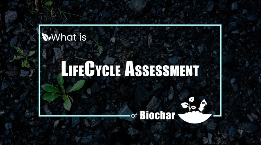 Life Cycle Assessment (LCA) of Biochar Systems