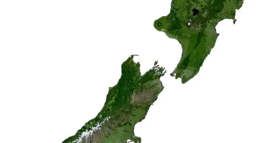 New Zealand: Emerging Biochar Opportunities in a Bioeconomy-Driven Landscape