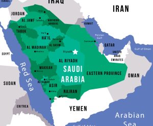 Saudi Arabia: Biochar Development, Policy Drivers, and Market Opportunities under Vision 2030