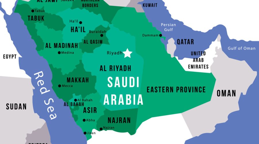 Saudi Arabia: Biochar Development, Policy Drivers, and Market Opportunities under Vision 2030