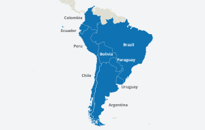 South America: Emerging Biochar Projects and Regional Leadership