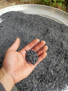 Biochar Carbon Removal: The Next Frontier of Climate Action