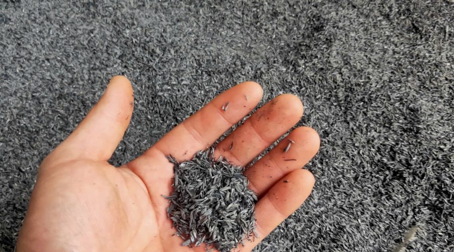 Biochar Carbon Removal: The Next Frontier of Climate Action