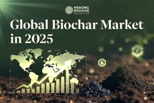 Global Biochar Market in 2025: Explosive Growth from 350,000 Tons to Millions of Tons