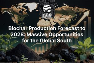Biochar Production Forecast to 2028: Massive Opportunities for the Global South