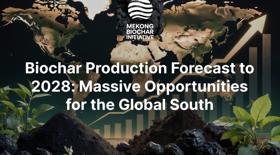 Biochar Production Forecast to 2028: Massive Opportunities for the Global South