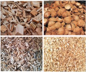 Mekong Biochar Initiative and ESG Education & Business promotes Biochar and Green Finance models from agricultural by-products.