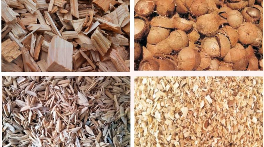 Mekong Biochar Initiative and ESG Education & Business promotes Biochar and Green Finance models from agricultural by-products.